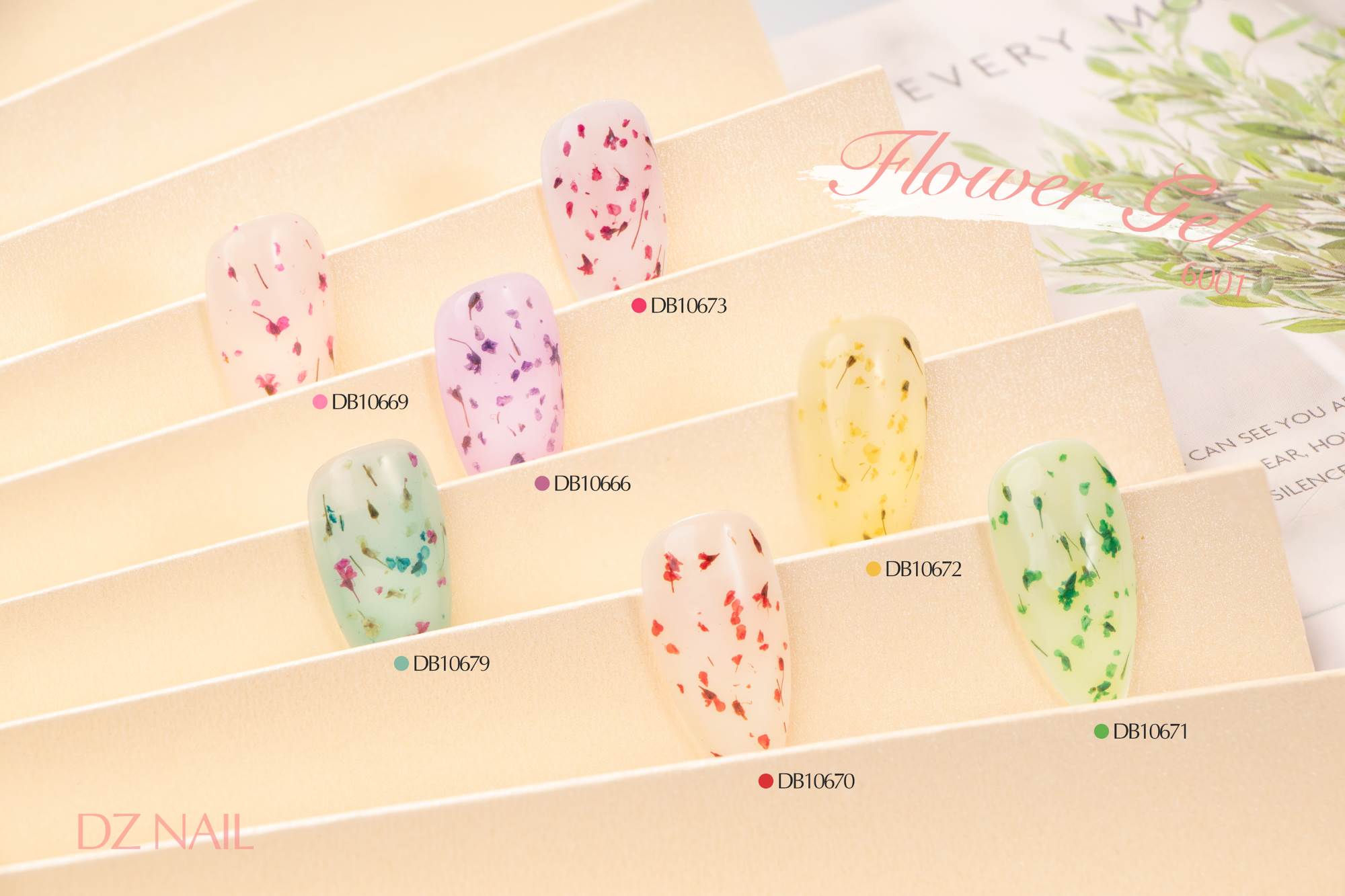 20251760423373994874.jpg 干花胶2(英).jpg